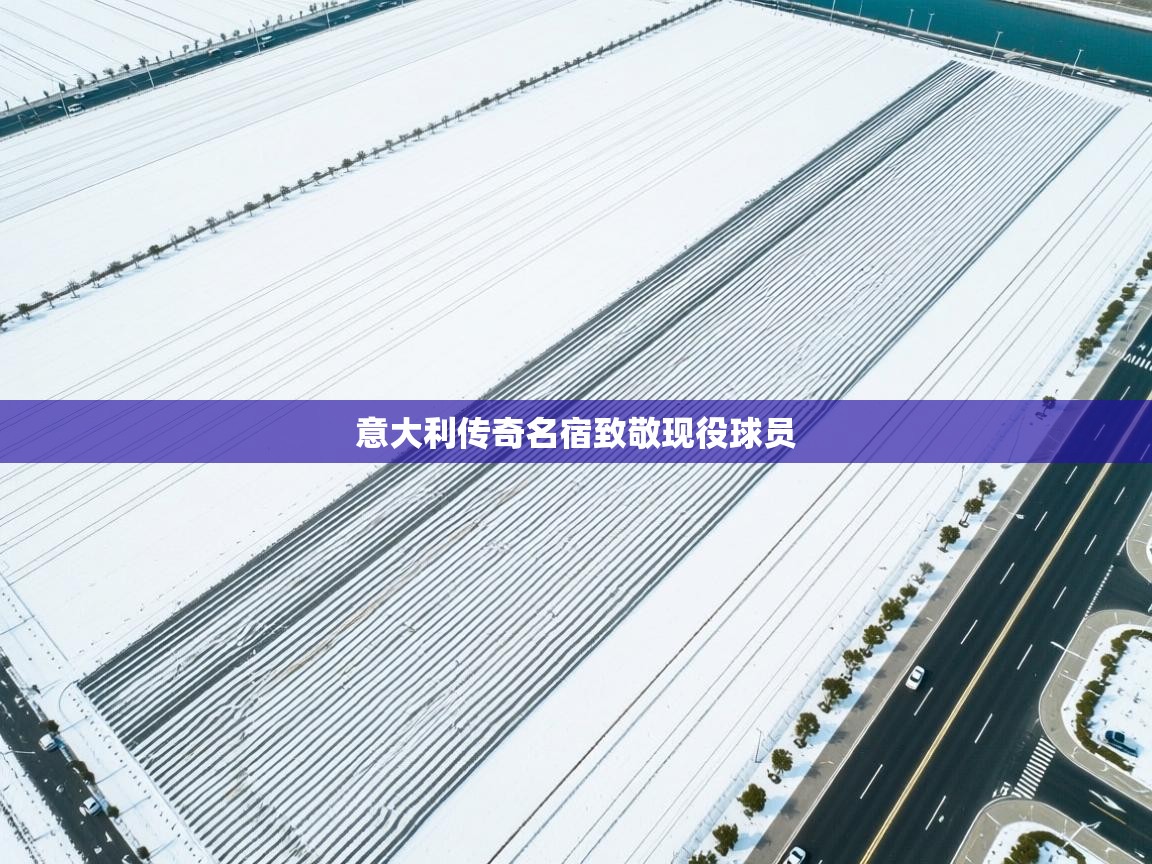 意大利传奇名宿致敬现役球员  第2张